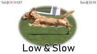 Condor Low and Slow Day 4: Arc Alpin