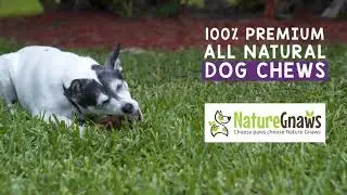Nature Gnaws Braided Bully Bites Available on Target