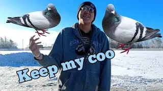 Lil pat - Keep my coo (official music video) 