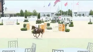 Perfect summer getaway: World Equestrian Center in Ocala