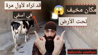 مكان مرعب ومهجور تحت الأرض في أسفي _ لا ينصح الإقتراب من هذه الأماكن ليلا