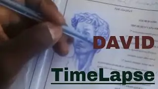 Michael Angelo David statue quick sketch in ink timelapse
