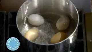 Как сварить яйцо вкрутую | Кулинарная школа Марты Стюарт