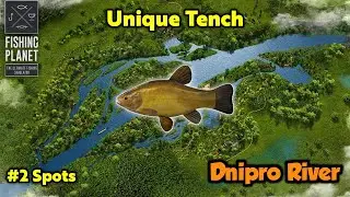 Unique Tench Dnipro River - Fishing Planet