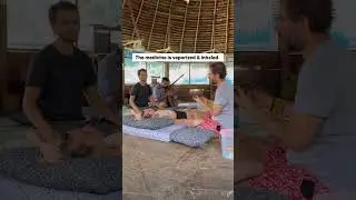 #plantmedicine #ayahuascaceremony #ayahuascahealing #ayahuasca #ayahuascaretreat