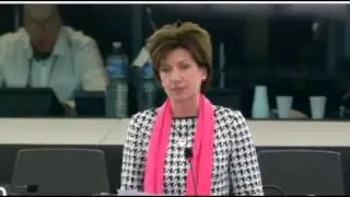 Diane James MEP on EU Aviation Strategy 16Feb17