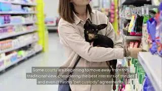 What Happens to My Pets During a Divorce? 🐶🐱 Waldorf MD