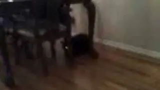 scared luna