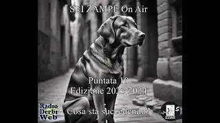 Sei zampe on air per Radio Derbi Web - Puntata 10 - Edizione 2023 2024 - Cosa sta succedendo?