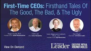 CEO Perspectives On The Different Methods Of Going Public