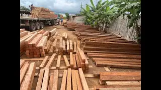 Most Trusted Cameroon Timber Shipping Company in Africa
