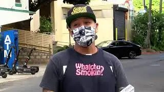 Go X Александра Дебелова на Hawaii News Now: от юридической &laquo;серой зоны&raquo; до незаменимого транспорта