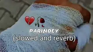 parindey  (B_praak )new song  (slowed and reverb). #punjabisong #slowedandreverb #lofimusic