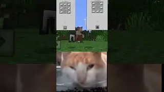 but the cauldron is a lot bigger?!? #shorts #minecraft #strange #cat