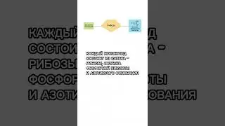 Вопрос от подписчика: РНК shorts шортс