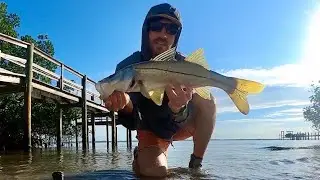 How I found Snook on fly wading through South Florida | No guide required