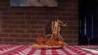 Italian Mastiff Eats Spaghetti - Cane Corso