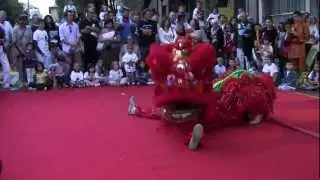 Il Circo Capovolto_IV edizione_La Danza del Leone_A.s.d. Shen Long Shaolin Kung Fu Guan