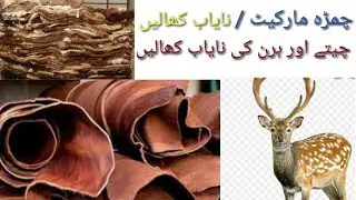 #LeatherMarket || Rare Leather 2020 Market In PAKISTANI || Eid-e-Qurban in pakistan...