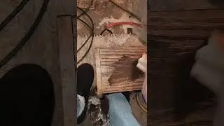 Staining wood with dried glue #driedglue #stainingwood