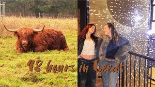 a weekend in Leeds | highland cows, stand up comedy & too many bars