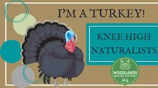Knee High Naturalists:  Reading 
