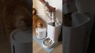 Кормушка кормит, а фонтанчик очищает водичку ❤️ #petkit #автоматическаякормушка #питьевойфонтан