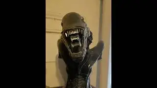 When high end statues come to life. #aliens #sideshowcollectibles #grok