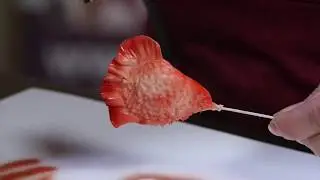 9   Colouring Cocks Comb or Celosia with Cassie Brown