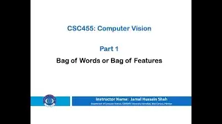 Part 1: Bag of Words or Bag of Features