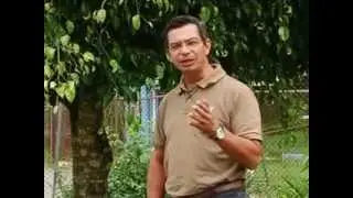 Producción y Distribución de Aves a pequeños agricultores de Costa Rica