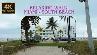 Miami Walking FULL TOUR 1 HR - South Beach Florida January 2025 Updated 02/07/2025