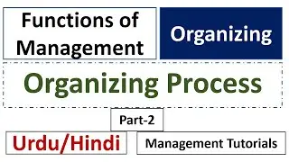 Part-2 Organizing Process-Organising Class 12 Business Studies-Organizing Management Function
