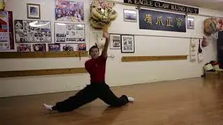 Lily Lau Eagle Claw Kung Fu Canada - Tiefer performing Muey Fa Do form
