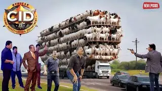 ग्रामीणों के आरोप पर CID की पड़ताल ~ ट्रक का सच सामने | CID NEW EP | #cid | #cidepisode | #2025
