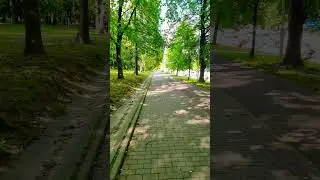 Current Weather Pustevny #mountains #nrisharma #nature #europe #ytshort #new #love