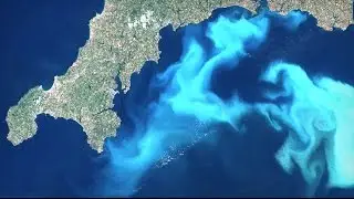 Healthy Oceans: Solutions to Human Impacts | California Academy of Sciences