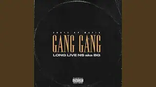Gang (feat. Lil Man)