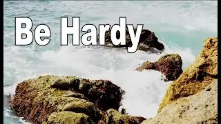 Hardy Approbation with Dennis Boal - Wise One Media