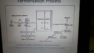 Basic Introdcution to Fermentation Process and Down Stream Processing