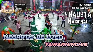 FINAL Negritos de Utec - Ayacucho - Yawarninchis / Varayoq de Oro 2025 Hatari Peru
