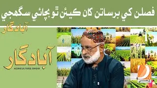 Faslan Khe Barsatin Kha Kian Tho Bachai Saghje | Abadgar (The Agriculture Show)| Host: Ayaz Gaad
