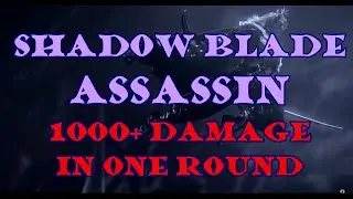 Shadow Blade Assassin: 1000+ damage build.  Adventure League