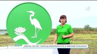 O călătorie virtuală &icirc;n Rezervația Naturală &bdquo;Prutul de jos&rdquo;