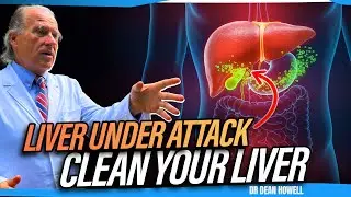 Adrenal Fatigue vs Liver Stress: The Truth About 