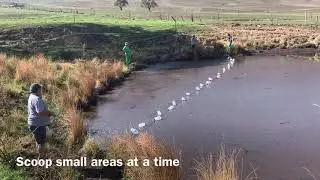 Making And Using A Drag Net To Remove Floating Organic Matter After Bushfire