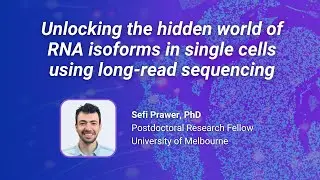 Cellular Conversations with Dr Sefi Prawer