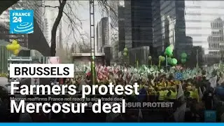 Farmers protest Mercosur deal in Brussels &bull; FRANCE 24 English