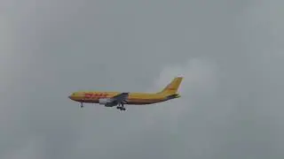 Frankfurt Airport Planespotting 🛩️ (DHL Cargo A300) 