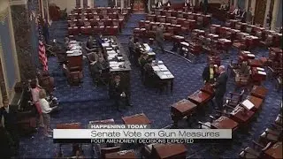 Senate vote on gun measures